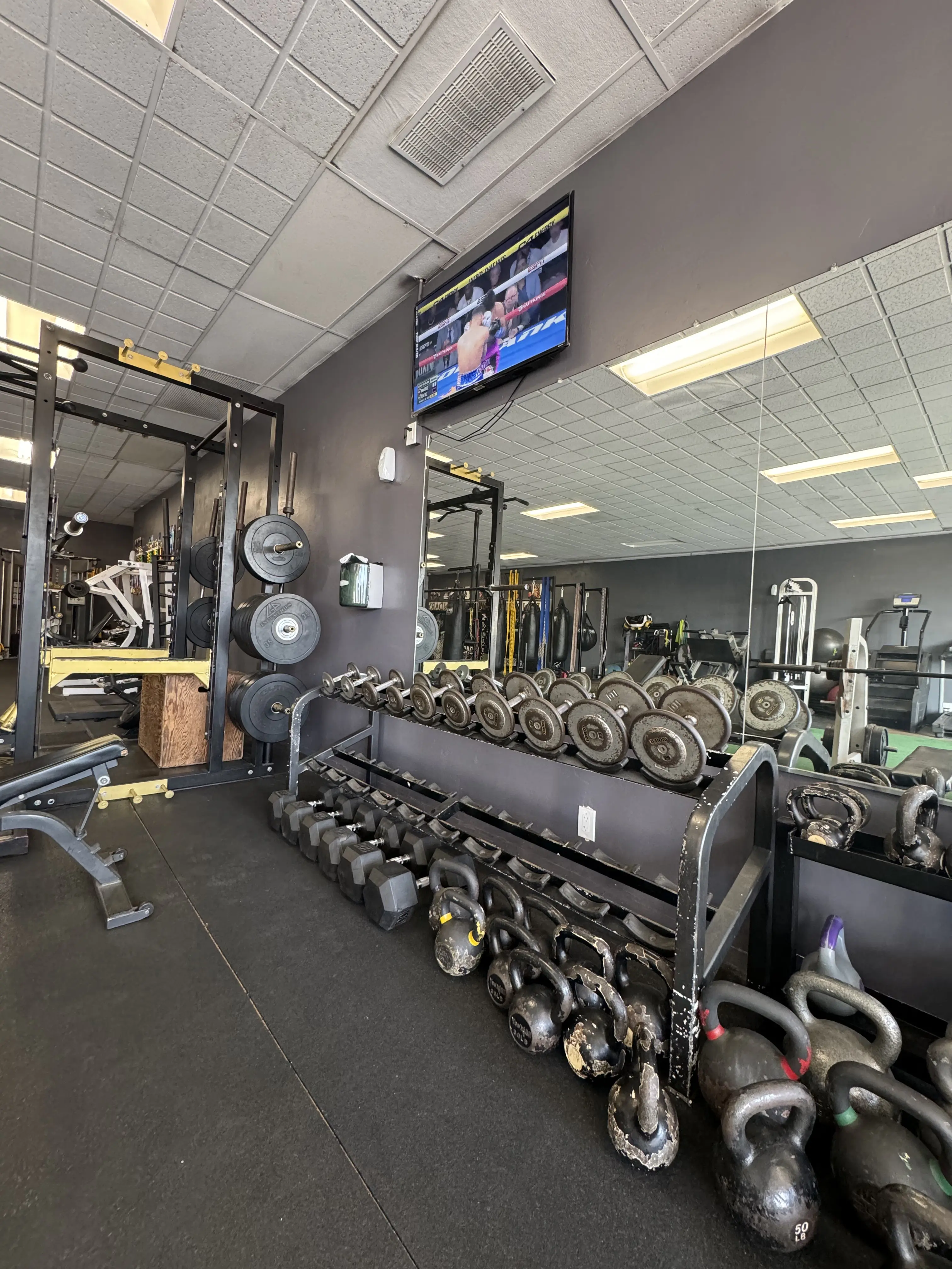 Light weights and functional-training area